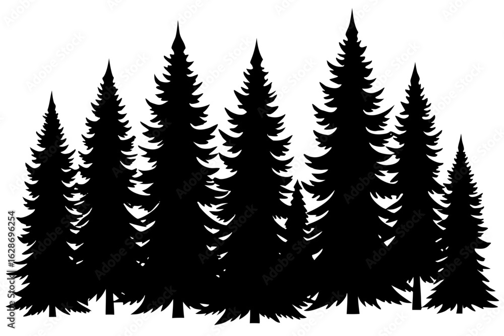 Obraz premium Black Vector Silhouette Of Pine Forest Trees Design Element