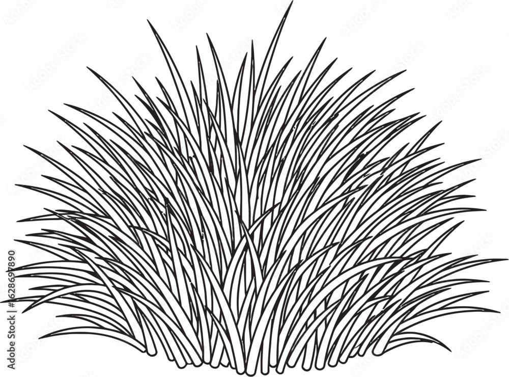 Fototapeta premium Ornamental Grass Line Art, Simple Grass Illustration, Black and White Grass Bush, Line Drawing Grass Clump, Vector Grass Illustration