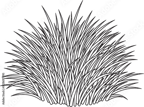 Ornamental Grass Line Art, Simple Grass Illustration, Black and White Grass Bush, Line Drawing Grass Clump, Vector Grass Illustration