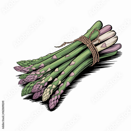 Vintage Style Asparagus Bundle – Tied Green Spears
