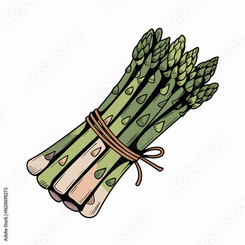 Vintage Style Asparagus Bundle – Tied Green Spears