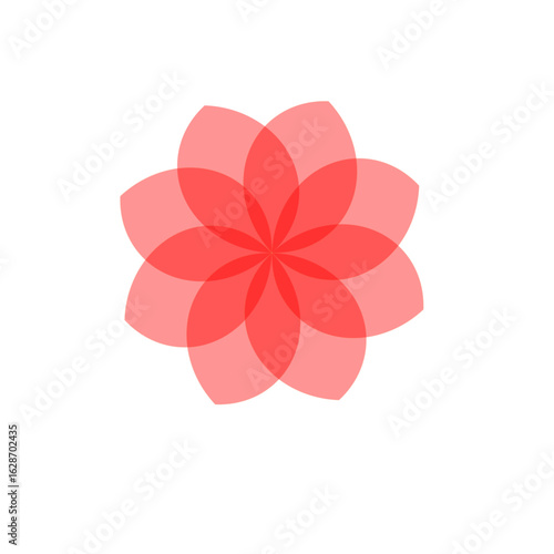 pink flower isolated on white background