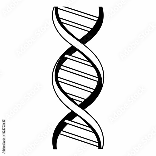 black and white illustration of DNA