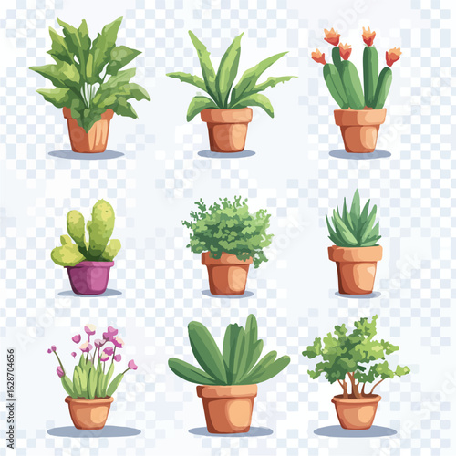 Garden Plants Transparent Background Isolation