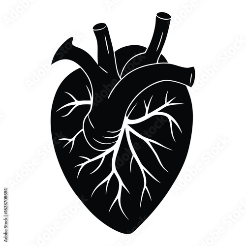 Black anatomical heart with white veins arteries