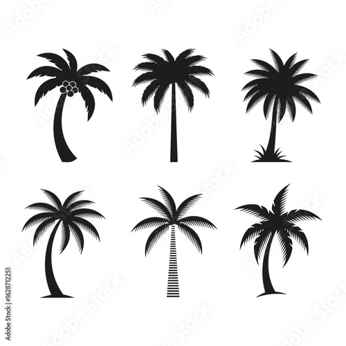Vector art of collection of six black palm tree silhouettes isolated on white background