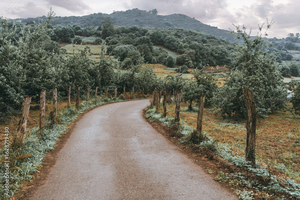 Obraz premium Winding rural road in Asturias, Spain, bordered by wooden fence posts and lush green trees, leading through misty hills and serene farmland under a cloudy sky after rain, evoking calm and escape