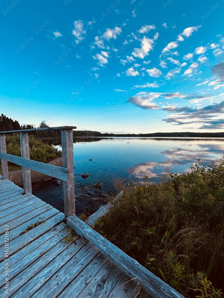 Fototapeta premium wooden bridge over the lake