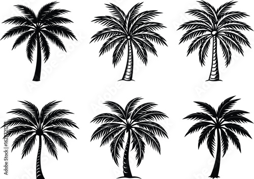 Vector silhouette illustration of tropical palm trees against a summer sunset sky