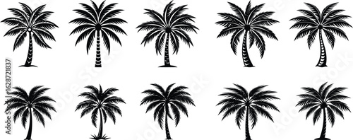 Silhouettes of tropical palm trees against a summer sky on a paradise island beach