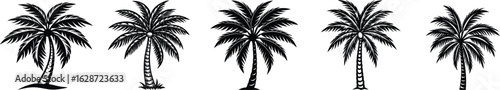 A simple black palm tree silhouette with branches and leaves is a natural and artistic floral design