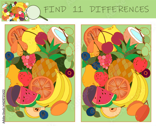 Find the differences game. Fruit puzzle. Fresh food. Sketch vector illustration.