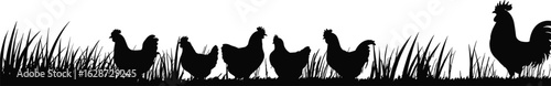 Silhouette of chickens and rooster in tall grass, farm birds, black white poultry design, rural nature scene, animal illustration