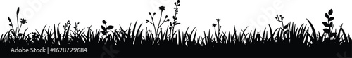 Silhouette of grass and plants, black white nature art, floral diversity, botanical elements, wild vegetation, minimal background, natural texture