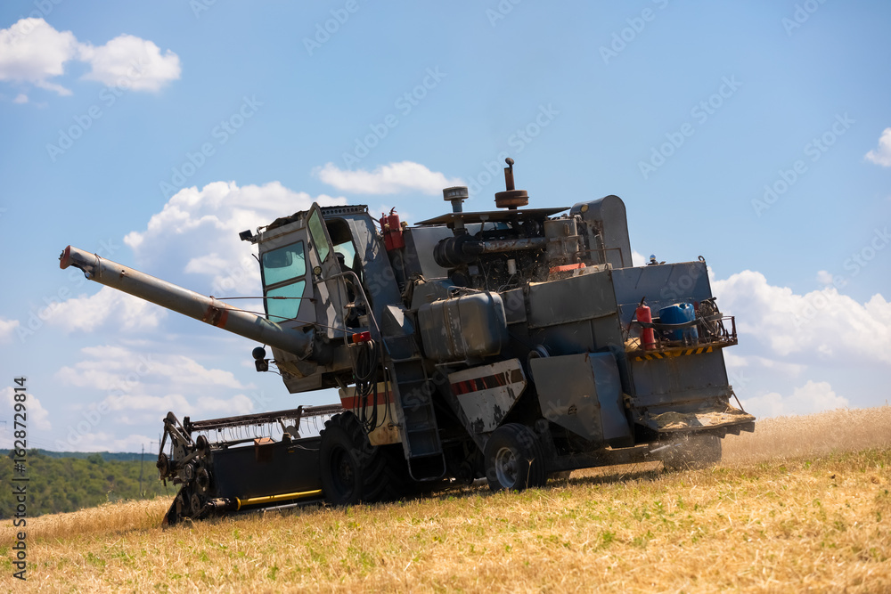 Fototapeta premium Rear-side view of an old combine harvester operating on a dry wheat field under a bright blue sky with scattered clouds.
