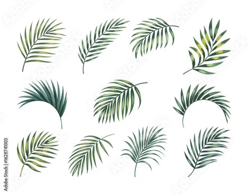 Watercolor tropical palm leaf bundle. Set of  palm coconut green leaf. 

