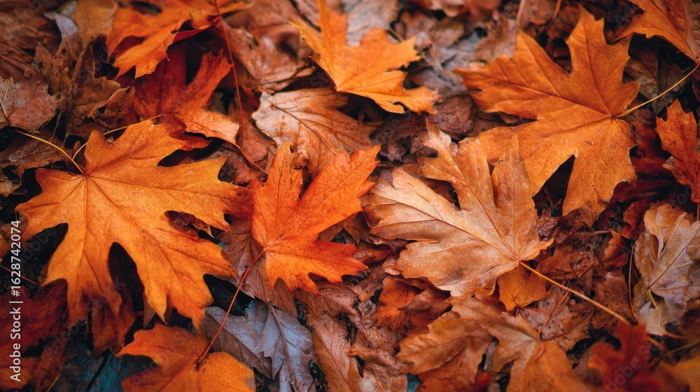 Obraz premium A bed of fallen leaves blankets the ground, showcasing rich shades of orange and brown. This sight captures the essence of autumn, evoking a peaceful outdoor feeling.