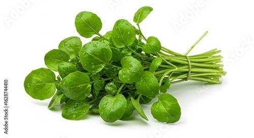 A bunch of fresh watercress with round leaves and water droplets on a white background close up view ai generative
