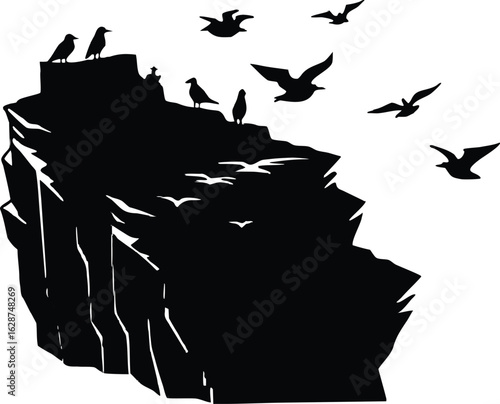Silhouette of Seabirds Nesting on Coastal Cliff