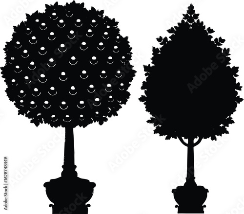 Silhouette of Decorative Topiary Trees in Garden