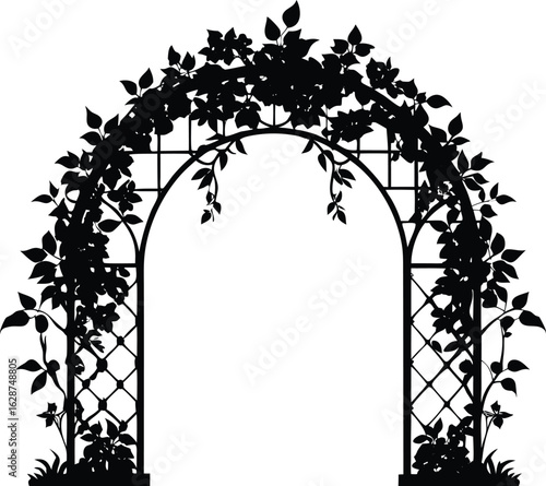 Silhouette of Vine Covered Arch in Garden Path