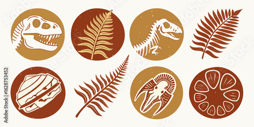 brown circular fossil badges collection ammonite trilobite fern prehistoric paleontology emblems scientific design