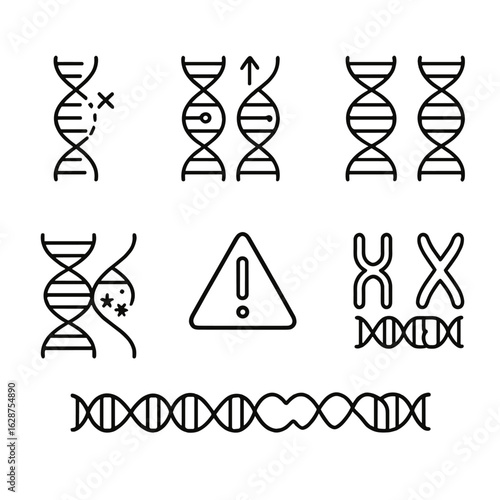 DNA Mutation Icons. Outline style icons of DNA Mutation Types: base deletion, point mutation icon, inversion strand, duplication