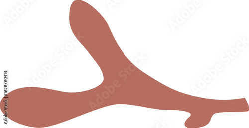 Sick dried cut flower stem