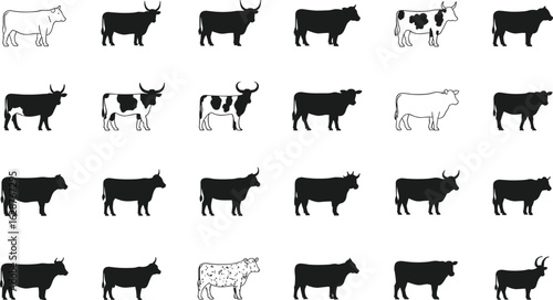 Cow silhouettes, various breeds and patterns, horned and spotted cattle, CAD drawing, flat vector illustration, livestock, farm animal, black white