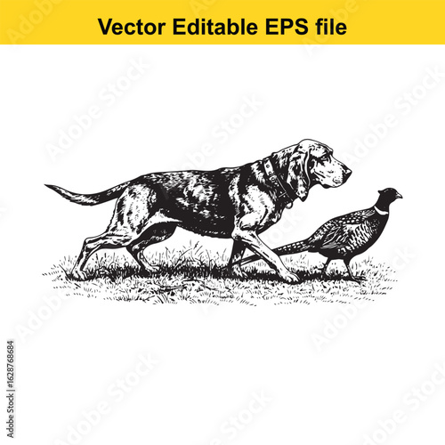 Bloodhound Vintage Black & White Hunting Dog Illustration with Pheasant – Standing, Jumping, and Hunting Pose