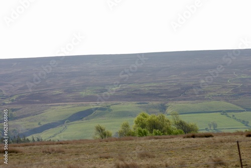 Expansive view of rolling moorland and green valleys under an overcast sky in the British countryside. A serene, remote landscape featuring gentle hills, sparse trees, and natural open space.