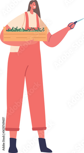 Farmer caring of microgreens vector illustration