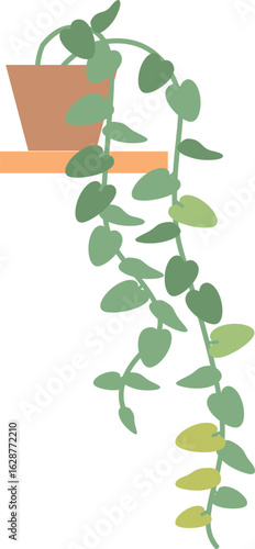 Sick houseplant with dried leaves