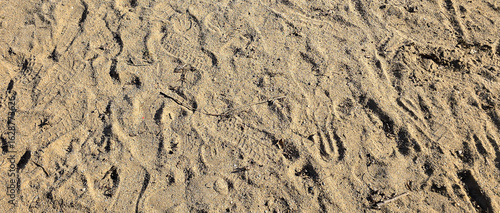 Fine sand texture – high-resolution natural grain surface for backgrounds