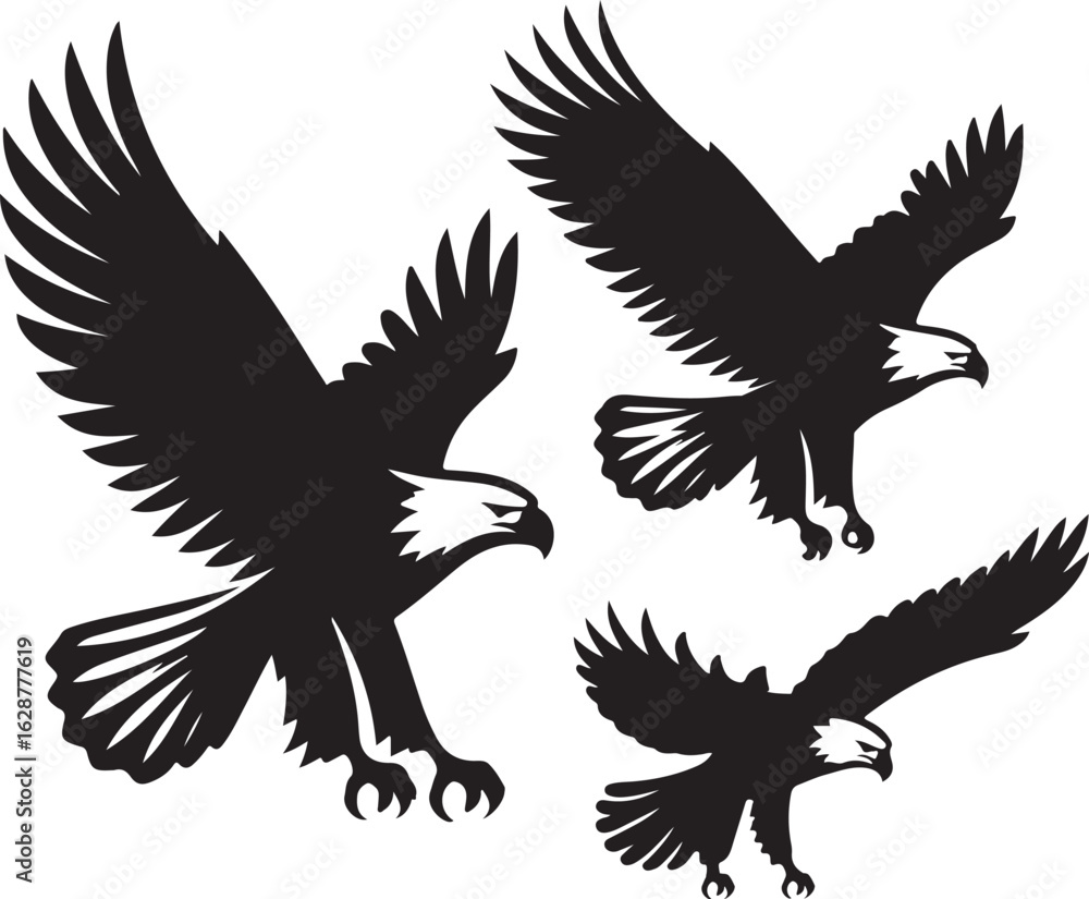 Obraz premium Three black eagles in flight on white background bird