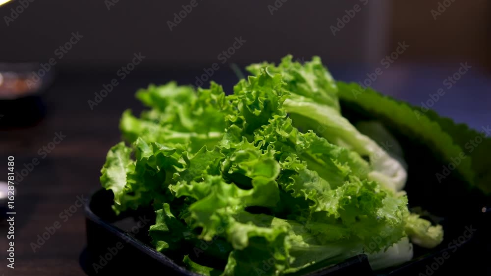 Fresh Green Lettuce Leaves with Water Droplets. High quality 4k footage Fresh Green Lettuce Leaves with Water Droplets. High quality 4k footage