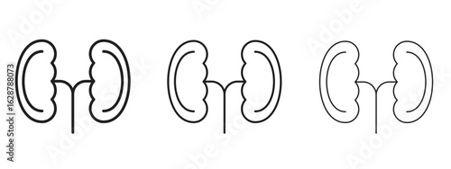 Kidney icon element Illustration. Trendy Symbol for Design