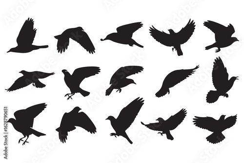 A Group of Fifteen Black Bird Silhouettes Displaying Various Flying and Landing Poses on a White Background