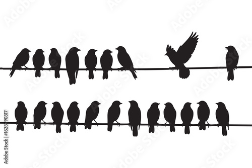 Black Silhouettes of Birds Perched on Wires with One Bird Taking Flight on a White Background