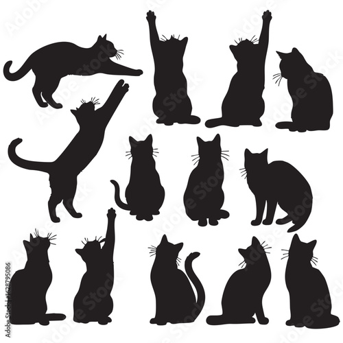 Black cat silhouettes in various poses feline animal