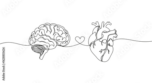 Brain and heart connected in black line art on transparent background  