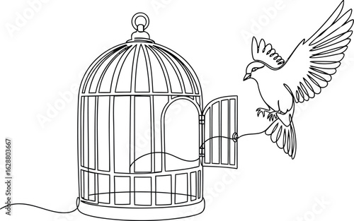 birdcage with a bird