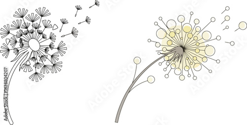 Dandelion flower vector set, blowing seeds in the wind, minimalist floral line art and abstract yellow puffball illustration