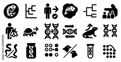 Genetics and evolution solid icons set – science, biology, dna symbols