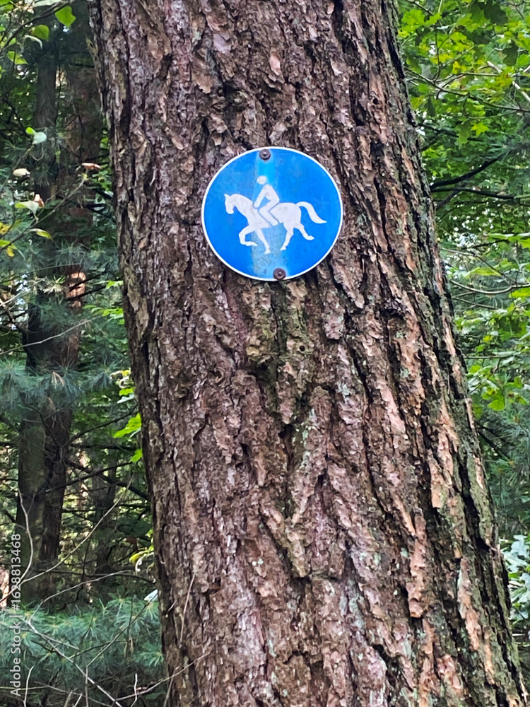 Naklejka premium Road sign for horse riders in a German forest