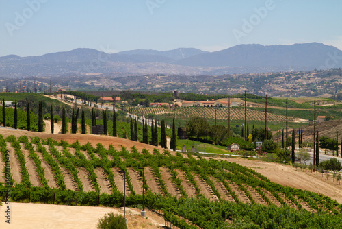 Temecula Vineyards