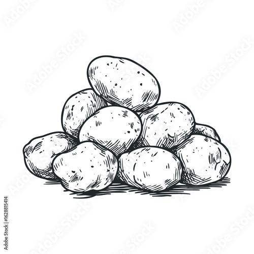 Freshly harvested potatoes stacked for culinary use and recipes