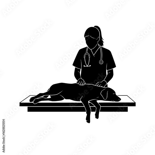 Veterinarian examining dog animal clinic pet care checkup vet doctor canine health professional service treatment