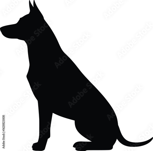 Alert german shepherd dog sitting patiently in profile against a clean white background silhouette