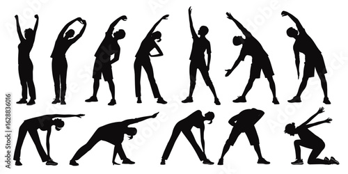 Silhouette stretching exercises poses vector illustration fitness workout training body care and wellness on transparent background